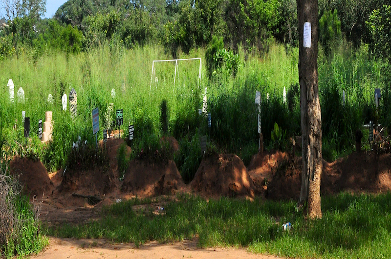 Melanie Heinrich Travel Images - Nelspruit-Lion Sands Private Game Reserve